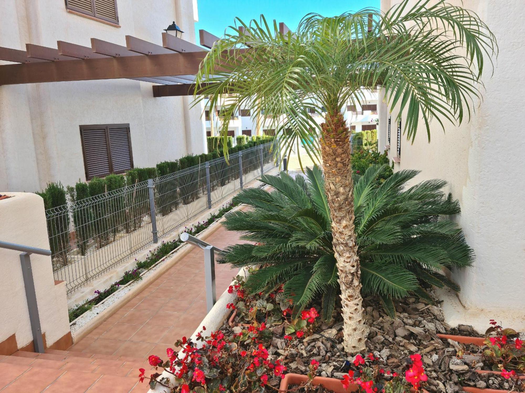 Appartement El Sueno à San Juan de los Terreros Extérieur photo