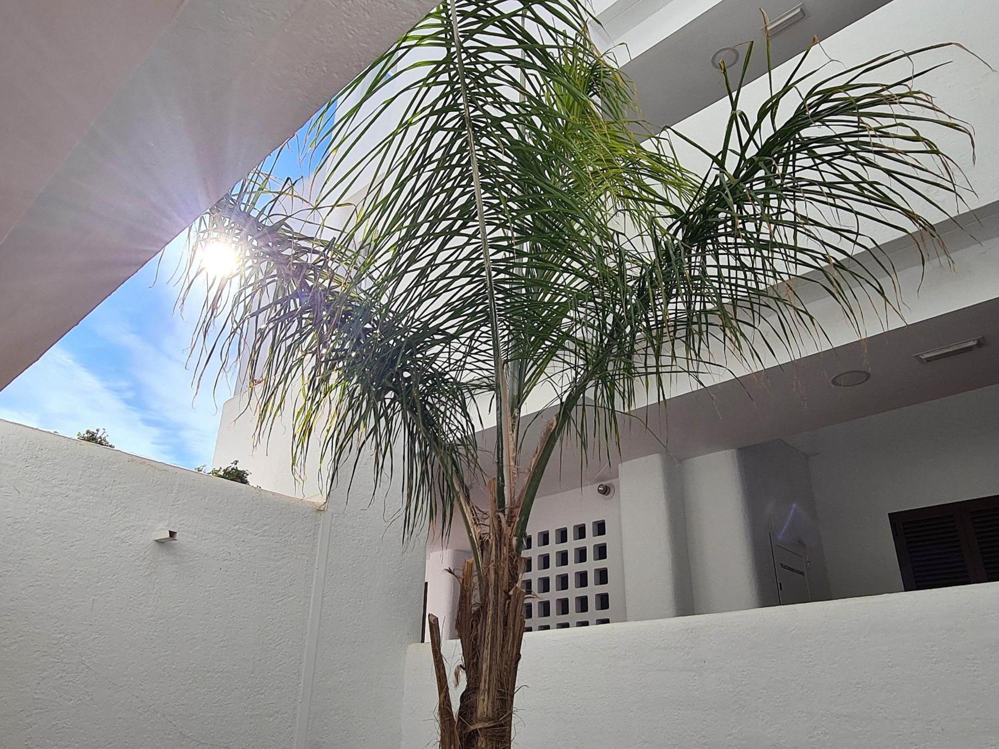 Appartement El Sueno à San Juan de los Terreros Extérieur photo
